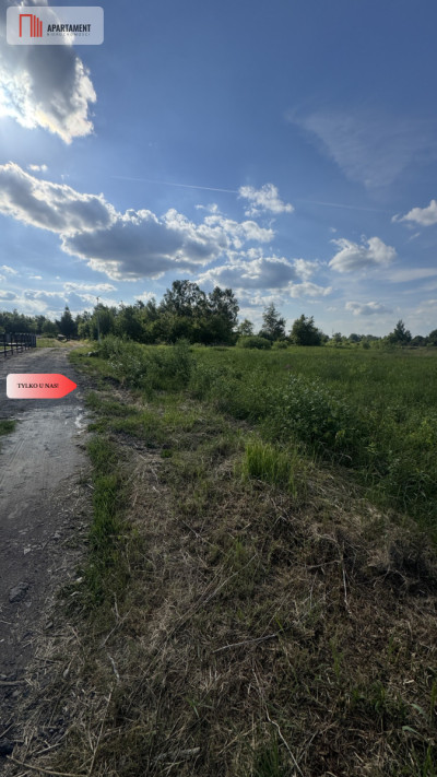 Działka budowlana w Chocianowie - Chocianów  -
Dolnośląskie Zdjęcie nr 5
