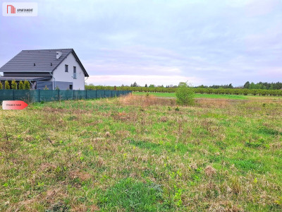 Szczutki 1106m2 malownicze miejsce pola lasy - Szczutki  - Kujawsko-Pomorskie