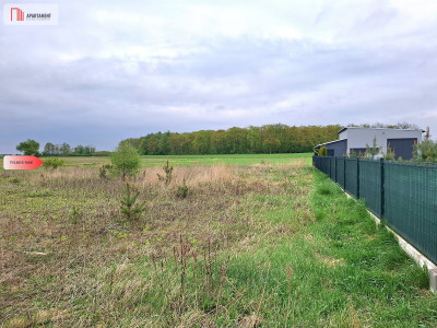 Szczutki 1106m2 malownicze miejsce pola lasy - Szczutki  -
Kujawsko-Pomorskie Zdjęcie nr 4