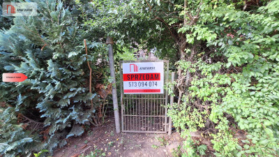 Przepiękne siedlisko wiele możliwości - Słonów  -
Lubuskie Zdjęcie nr 2