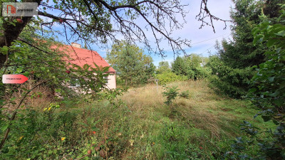 Przepiękne siedlisko wiele możliwości - Słonów  -
Lubuskie Zdjęcie nr 3
