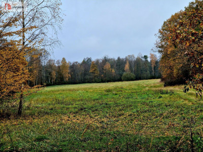 Dla inwestora - Raszówka  -
Dolnośląskie Zdjęcie nr 3