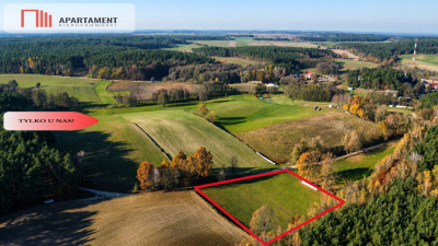Spokój natura jezioradziałka zagrodowa Dormowo - Dormowo  -
Wielkopolskie Zdjęcie nr 3