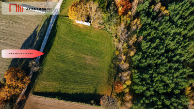 Spokój natura jezioradziałka zagrodowa Dormowo - Dormowo  -
Wielkopolskie Zdjęcie nr 6