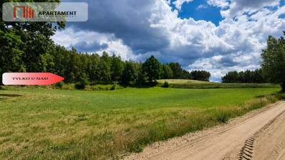Spokój natura jezioradziałka zagrodowa Dormowo - Dormowo  -
Wielkopolskie Zdjęcie nr 8