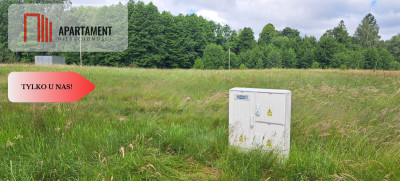 Działka 5000 m2 ze ścianą lasu raj dla duszy - Bukowiny  -
Pomorskie Zdjęcie nr 10