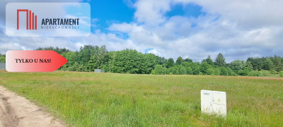 Działka 5000 m2 ze ścianą lasu raj dla duszy - Bukowiny  -
Pomorskie Zdjęcie nr 11
