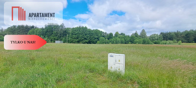 Działka 5000 m2 ze ścianą lasu raj dla duszy - Bukowiny  -
Pomorskie Zdjęcie nr 2