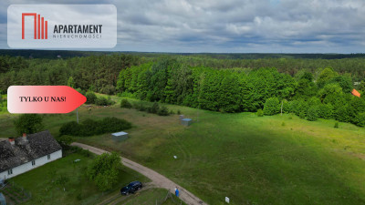 Działka 5000 m2 ze ścianą lasu raj dla duszy - Bukowiny  -
Pomorskie Zdjęcie nr 4