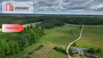 Działka 5000 m2 ze ścianą lasu raj dla duszy - Bukowiny  -
Pomorskie Zdjęcie nr 5