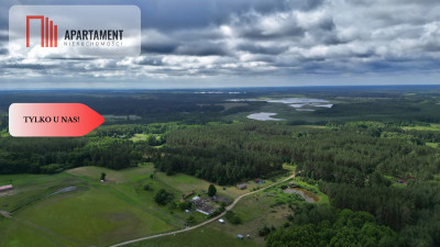 Działka 5000 m2 ze ścianą lasu raj dla duszy - Bukowiny  -
Pomorskie Zdjęcie nr 6