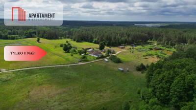 Działka 5000 m2 ze ścianą lasu raj dla duszy - Bukowiny  -
Pomorskie Zdjęcie nr 7