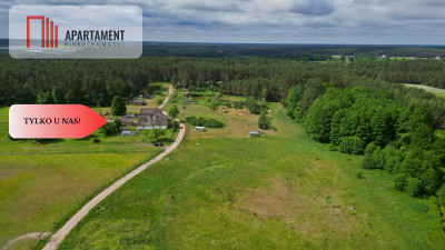 Działka 5000 m2 ze ścianą lasu raj dla duszy - Bukowiny  -
Pomorskie Zdjęcie nr 8