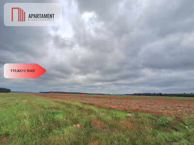 Działka inwestycyjna wz 5 min od miasta - Pławno  -
Zachodniopomorskie Zdjęcie nr 7
