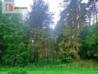 Działka inwestycyjna  hotel pensjonat turystyka - Tleń  -
Kujawsko-Pomorskie Zdjęcie nr 12