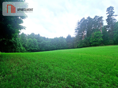 Działka inwestycyjna  hotel pensjonat turystyka - Tleń  -
Kujawsko-Pomorskie Zdjęcie nr 4