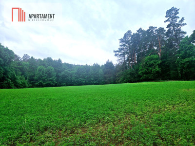 Działka inwestycyjna  hotel pensjonat turystyka - Tleń  -
Kujawsko-Pomorskie Zdjęcie nr 5