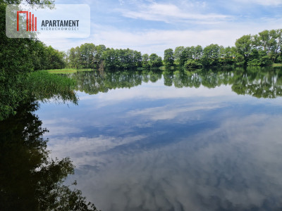 Działka rekreacyjna blisko jeziora objęta MPZP - Niedźwiady  -
Kujawsko-Pomorskie Zdjęcie nr 9