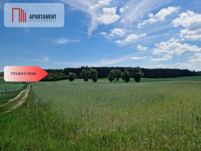 Blisko jeziora Działka rekreacyjna 904 mkw - Skorzewo  -
Pomorskie Zdjęcie nr 10