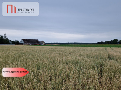 Tania i duża działka budowlana z WZ - Gościeszyn  -
Kujawsko-Pomorskie Zdjęcie nr 3