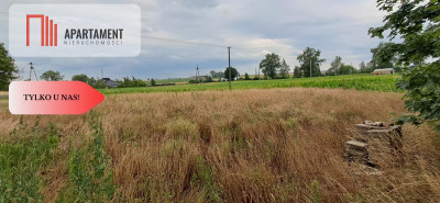 Działka w Twierdzinie - Twierdziń  -
Kujawsko-Pomorskie Zdjęcie nr 2