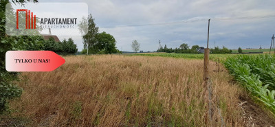 Działka w Twierdzinie - Twierdziń  -
Kujawsko-Pomorskie Zdjęcie nr 3