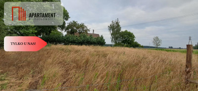 Działka w Twierdzinie - Twierdziń  -
Kujawsko-Pomorskie Zdjęcie nr 4