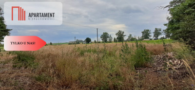 Działka w Twierdzinie - Twierdziń  -
Kujawsko-Pomorskie Zdjęcie nr 5