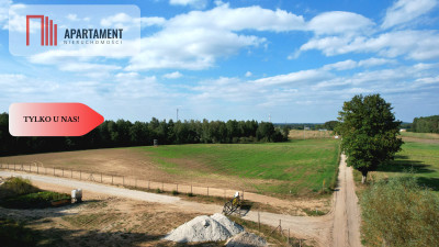 Działki 830- 3132m2  Kowalewo Szubin ŚCIANA LASU - Kowalewo  -
Kujawsko-Pomorskie Zdjęcie nr 11