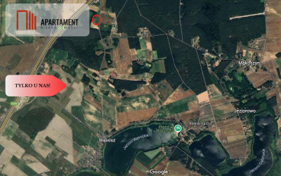 Działki 830- 3132m2  Kowalewo Szubin ŚCIANA LASU - Kowalewo  -
Kujawsko-Pomorskie Zdjęcie nr 13
