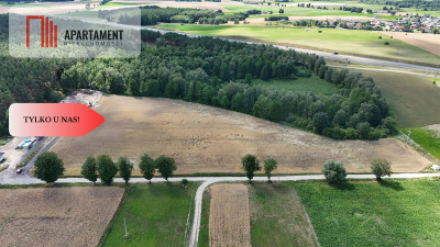 Działki 830- 3132m2  Kowalewo Szubin ŚCIANA LASU - Kowalewo  -
Kujawsko-Pomorskie Zdjęcie nr 3