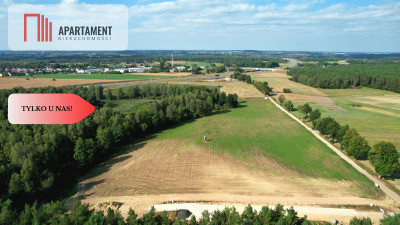 Działki 830- 3132m2  Kowalewo Szubin ŚCIANA LASU - Kowalewo  -
Kujawsko-Pomorskie Zdjęcie nr 4