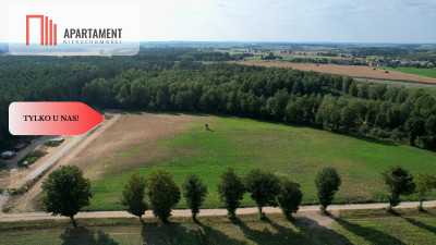 Działki 830- 3132m2  Kowalewo Szubin ŚCIANA LASU - Kowalewo  -
Kujawsko-Pomorskie Zdjęcie nr 6