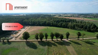 Działki 830- 3132m2  Kowalewo Szubin ŚCIANA LASU - Kowalewo  -
Kujawsko-Pomorskie Zdjęcie nr 8