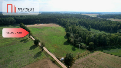 Działki 830- 3132m2  Kowalewo Szubin ŚCIANA LASU - Kowalewo  -
Kujawsko-Pomorskie Zdjęcie nr 9
