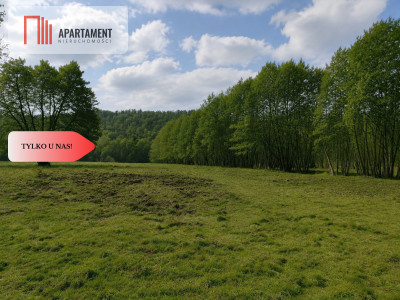 Działki rolne z dostępem do rzeki - Żabno  - Pomorskie