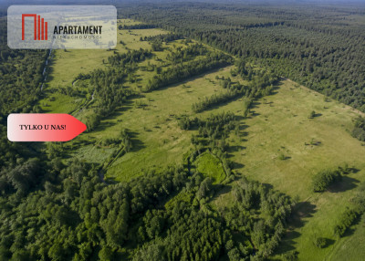 Działki rolne z dostępem do rzeki - Żabno  -
Pomorskie Zdjęcie nr 2