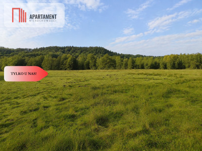 Działki rolne z dostępem do rzeki - Żabno  -
Pomorskie Zdjęcie nr 4