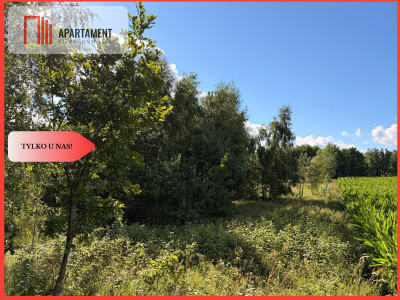 Tylko u nas Działka-cisza natura i potencjał - Nowa Karczma  - Pomorskie