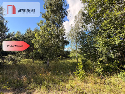 Tylko u nas Działka-cisza natura i potencjał - Nowa Karczma  -
Pomorskie Zdjęcie nr 3