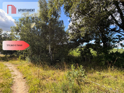 Tylko u nas Działka-cisza natura i potencjał - Nowa Karczma  -
Pomorskie Zdjęcie nr 4