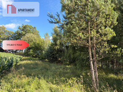 Tylko u nas Działka-cisza natura i potencjał - Nowa Karczma  -
Pomorskie Zdjęcie nr 6