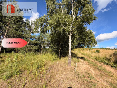 Tylko u nas Działka-cisza natura i potencjał - Nowa Karczma  -
Pomorskie Zdjęcie nr 7