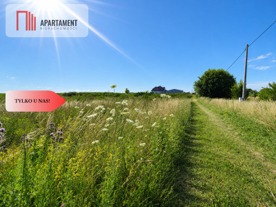 Cisza i spokój  Miejsce na Twój dom - Więckowy  -
Pomorskie Zdjęcie nr 7