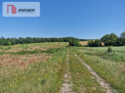 Działka budowlana 8308 m z WZ  Roztoka  - Roztoka  -
Pomorskie Zdjęcie nr 2