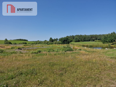 Działka budowlana 8308 m z WZ  Roztoka  - Roztoka  -
Pomorskie Zdjęcie nr 5