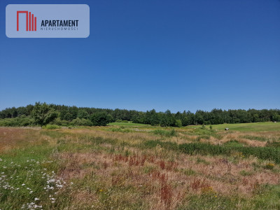 Działka budowlana 8308 m z WZ  Roztoka  - Roztoka  -
Pomorskie Zdjęcie nr 8