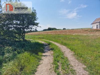 Działka budowlana 8308 m z WZ  Roztoka  - Roztoka  -
Pomorskie Zdjęcie nr 9