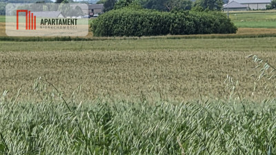 Działka na dom marzeń-twoje miejsce w naturze - Dobrzyca  -
Zachodniopomorskie Zdjęcie nr 2