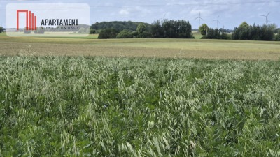Działka na dom marzeń-twoje miejsce w naturze - Dobrzyca  -
Zachodniopomorskie Zdjęcie nr 3